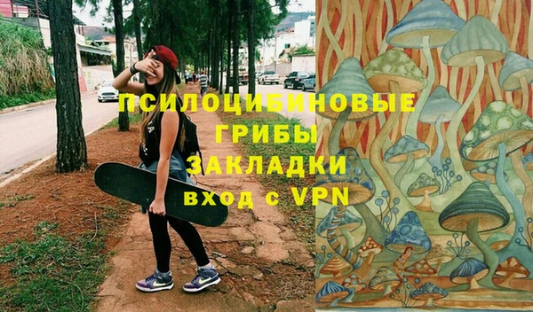 прущие грибы Мегион