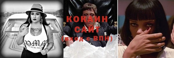 МДПВ Алзамай